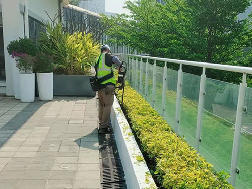 綠化養(yǎng)護(hù)中的常見(jiàn)問(wèn)題及解決方法